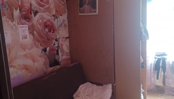 33bc7335-69c6-45b0-b101-37d55e8d0511