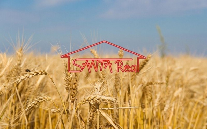 POĽNOHOSPODÁRSKE POZEMKY NA PREDAJ