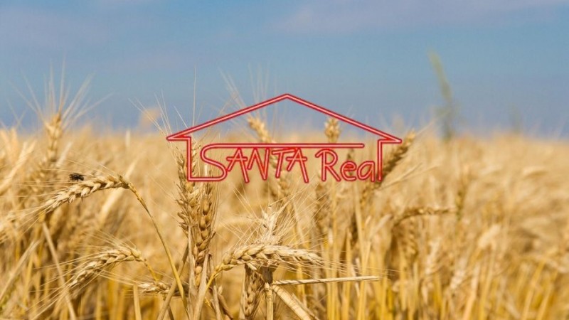 POĽNOHOSPODÁRSKE POZEMKY NA PREDAJ